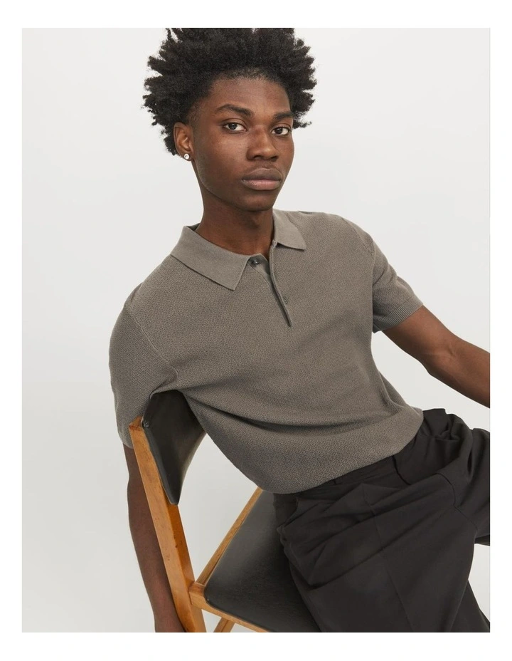 Jprblusandri Knit Polo Shirt in Falcon